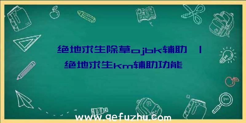 「绝地求生除草ojbk辅助」|绝地求生km辅助功能